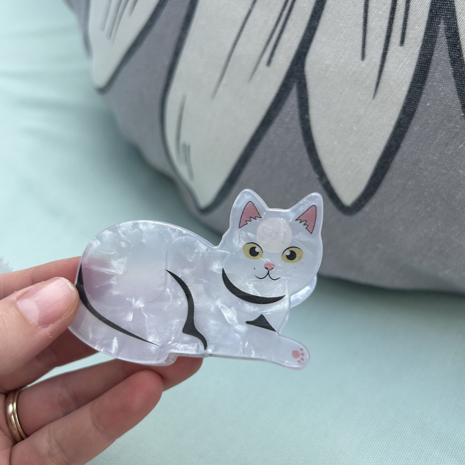 Kedi Kemik Toka