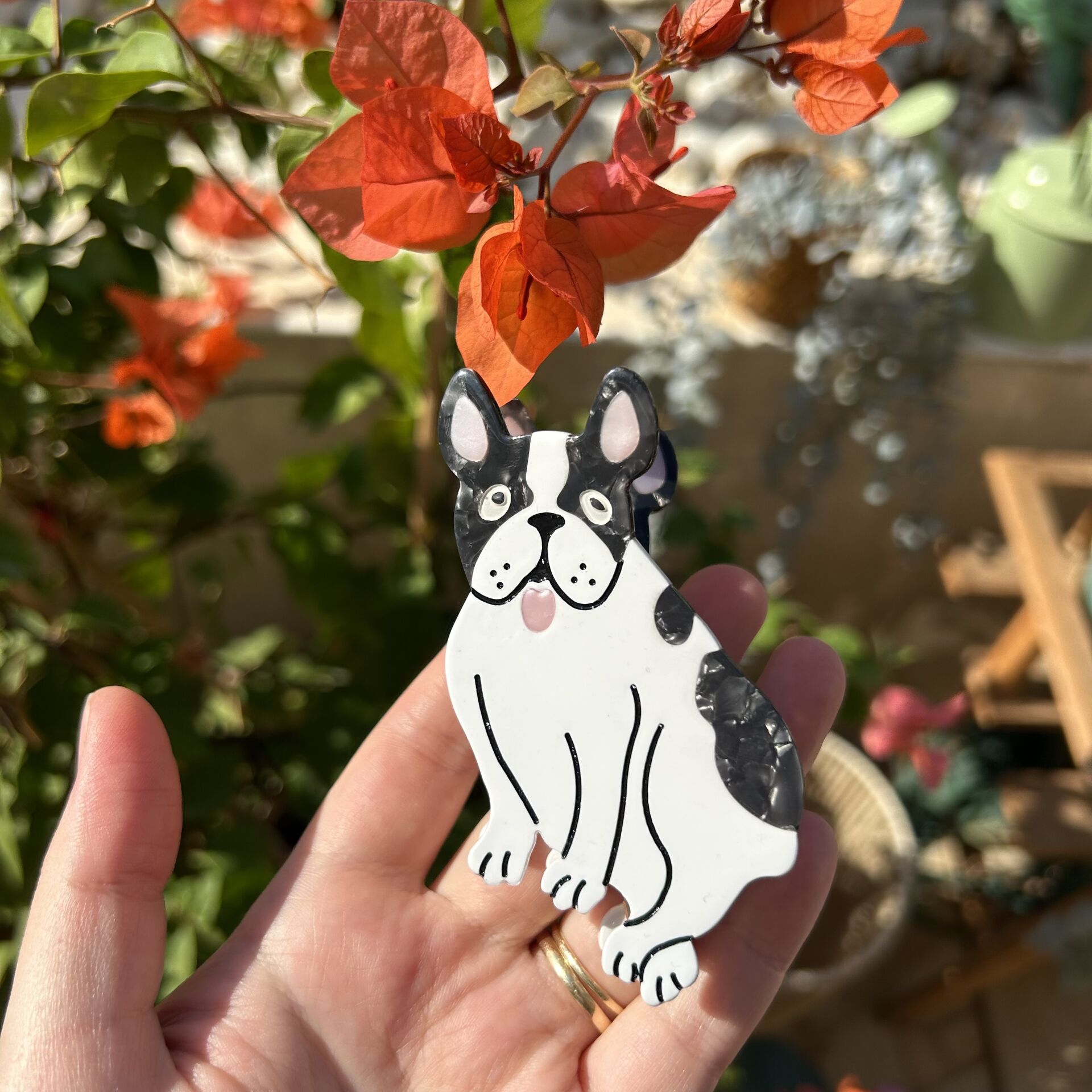 Köpek Toka