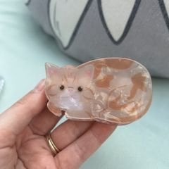 Kedi Kemik Toka