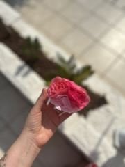 Çiçek Mandal Toka